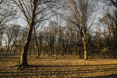 Similar image 12581573