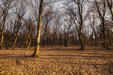 Similar image 12581586