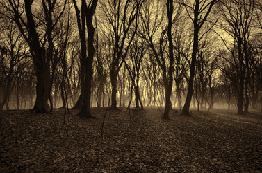 Similar image 12584698