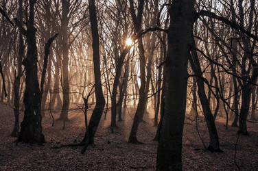 Similar image 12584699