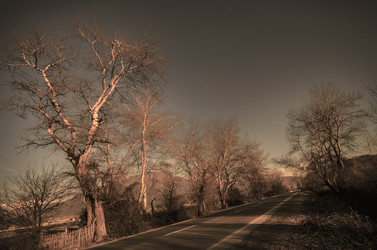 Similar image 12584700