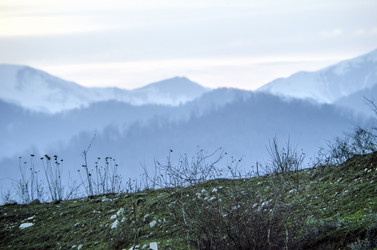 Similar image 12584703