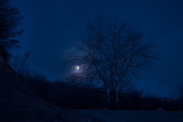 Similar image 12584704