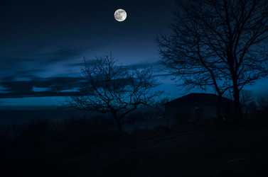 Similar image 12584718