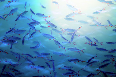 Similar image 12687225