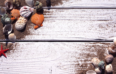 Similar image 12554599