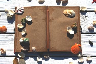 Similar image 12554600