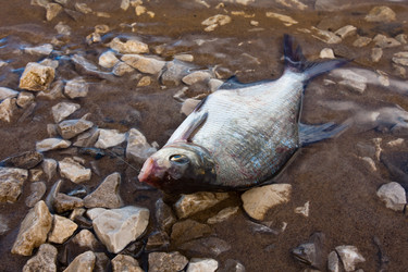 Similar image 12585332