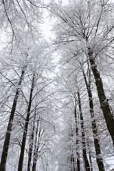 Similar image 12585252