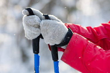 Similar image 12585301