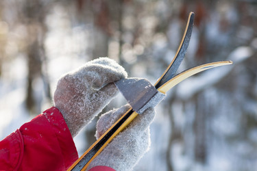 Similar image 12585312