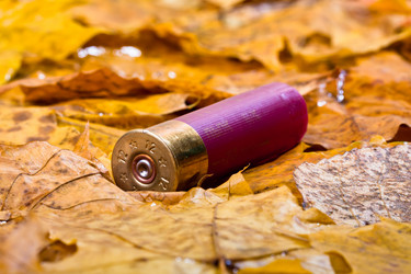 Similar image 12585397