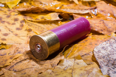 Similar image 12585398