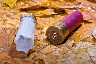 Similar image 12585445