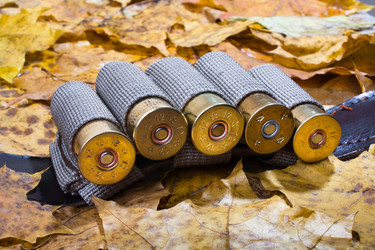 Similar image 12585454