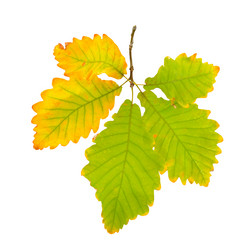 Similar image 12580617