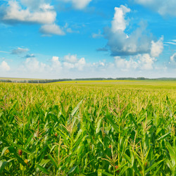 Similar image 12580620