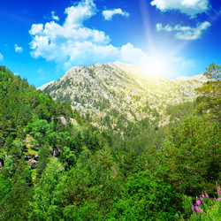 Similar image 12580622