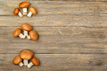 Similar image 12580635