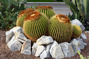 Similar image 12579227