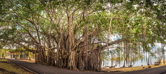 Similar image 12686205