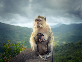 Similar image 12686529