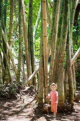 Similar image 12686234