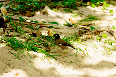 Similar image 12687754