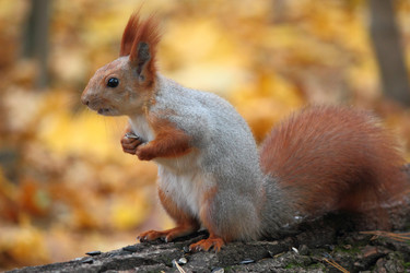 Similar image 12489720