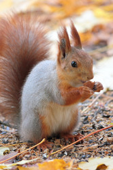 Similar image 12489721