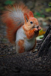 Similar image 12489723