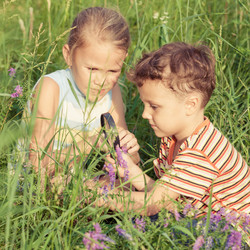 Similar image 12484965