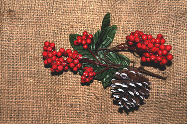 Similar image 12553610