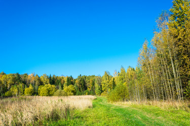 Similar image 12588530