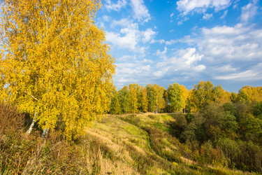 Similar image 12588537