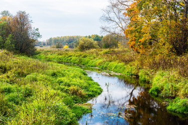 Similar image 12515121