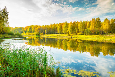 Similar image 12588558