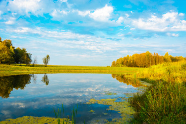 Similar image 12588559