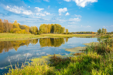 Similar image 12588560