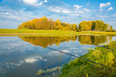 Similar image 12588561