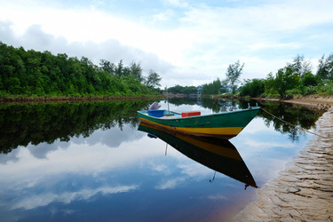 Similar image 12489701