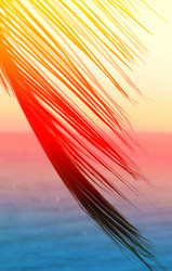 Similar image 12687184