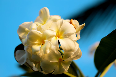 Similar image 12687240