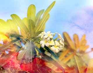 Similar image 12687241