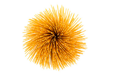 Similar image 12597487