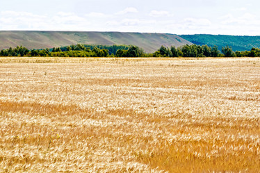 Similar image 12485914