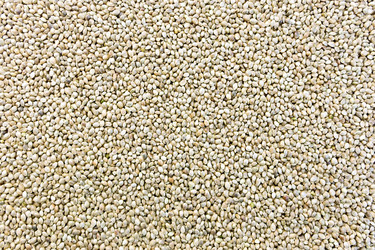 Similar image 12485949