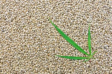 Similar image 12485987