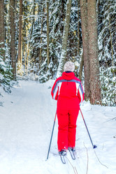 Similar image 12516539