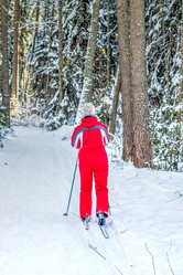 Similar image 12516553